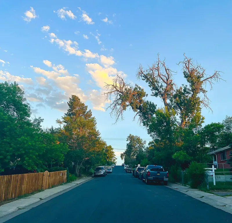 The Neighborhood Playbook Nobody Will Let You Read